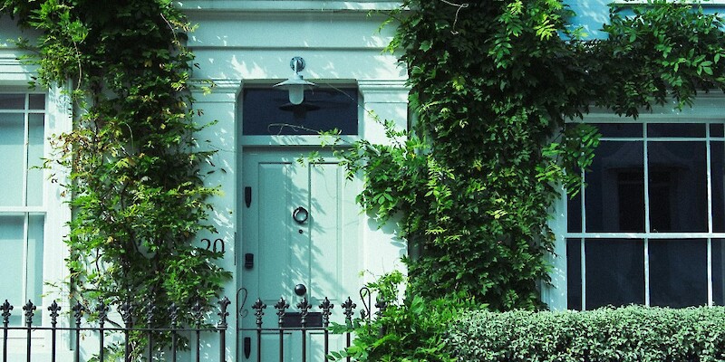A green door with ivy growing on it