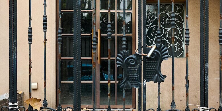 Autumn leaved behind gate